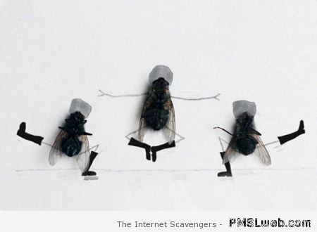Dancing fly art at PMSLweb.com