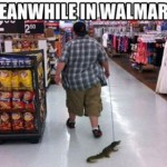 Meanwhile in walmart a man walking an alligator