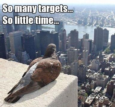 pigeon targets