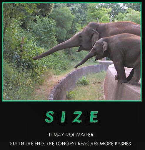 Size counts