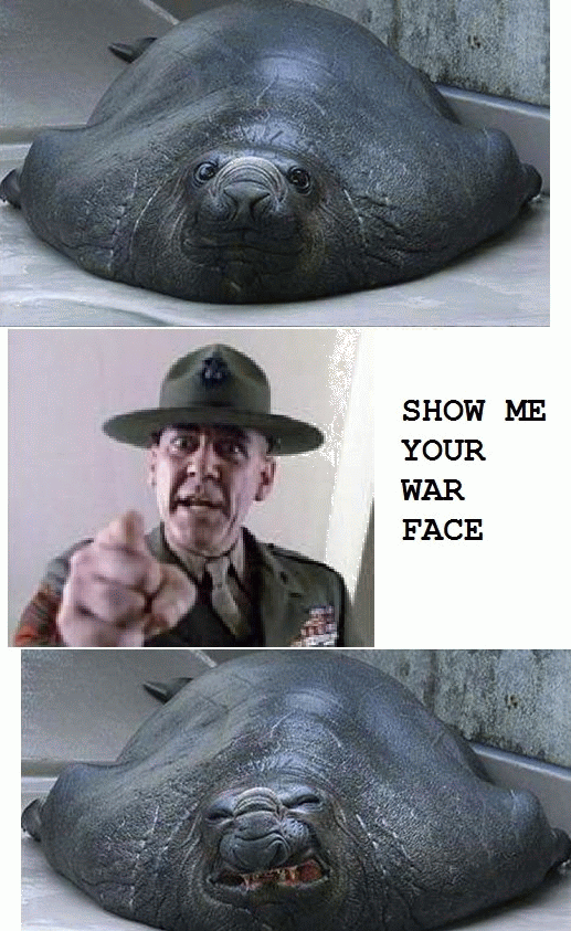 war face
