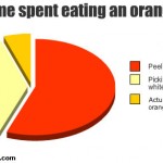 percentage of time spent eating an orange graph