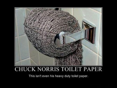chuck norris wired toilet paper