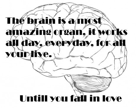 amazing brain love fail
