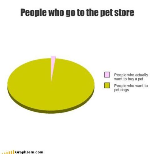 going to the pet store graph