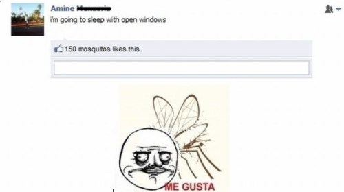 mosquito porn