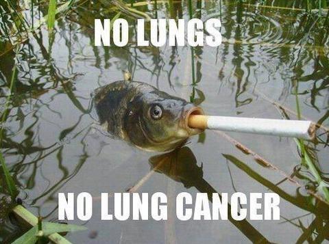 fish won't get cancer