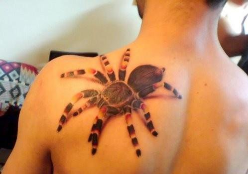 spider tattoo on back