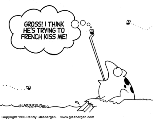 frog french kissing