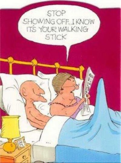 walking stick cartoon funny