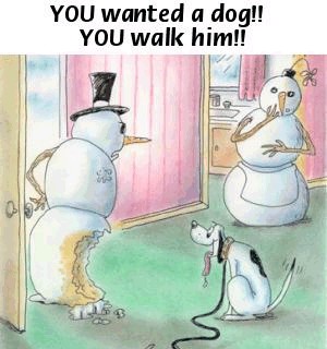 snowman dog funny