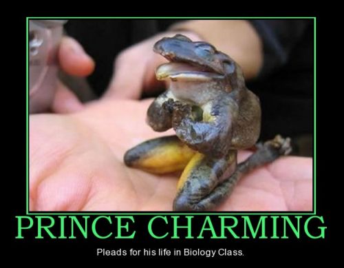 frog prince charming