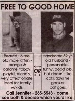 free to good home husband or cat
