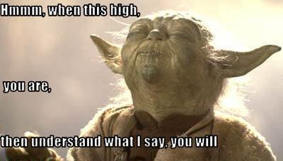 yoda understand what I say you will