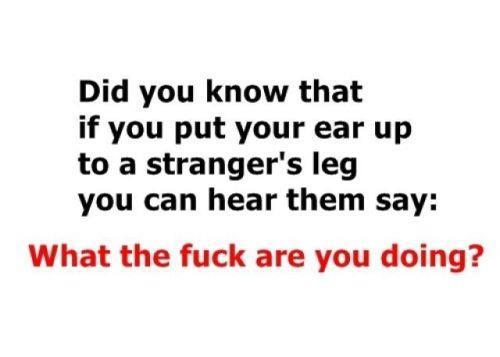 did you know that if you put your ear up to a strangers leg