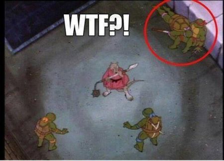 Teenage mutant ninja Turtles WTF