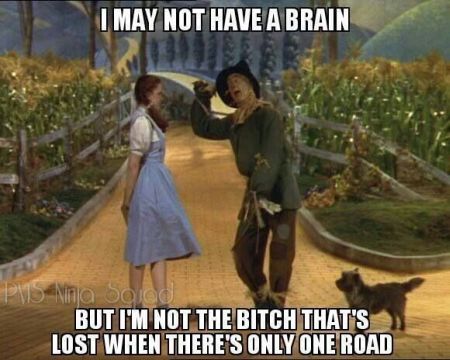 12-I-may-not-have-a-brain-wizard-of-Oz-funny.jpg