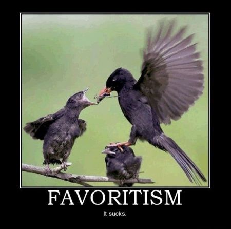 favoritism bird funny