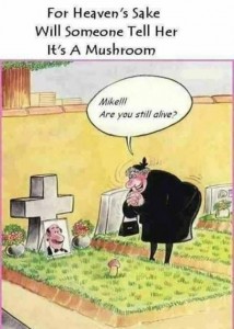 20-mushroom-in-cemetery-cartoon