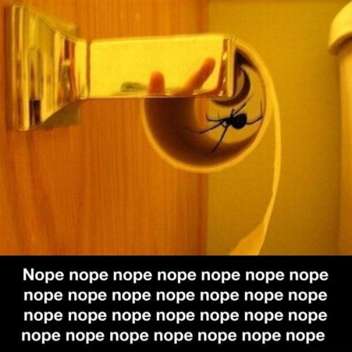 Nopes black widow toilet paper roll funny