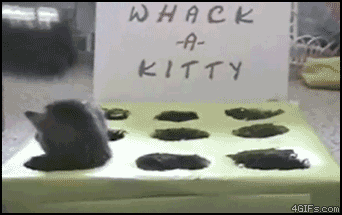 Whack a kitty funny gif