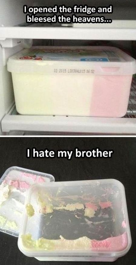 ice cream prank - i hate my brother