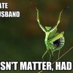 doesn’t matter had sex praying mantis meme