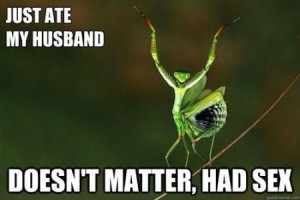 25-doesnt-matter-had-sex-praying-mantis-meme