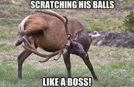 scratching his balls like a boss