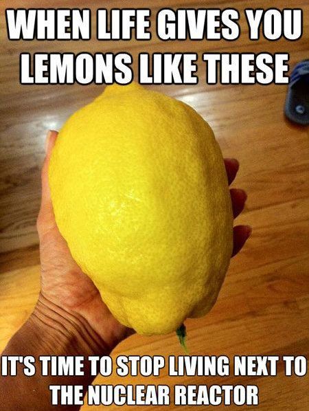 when life give you lemons like this funny