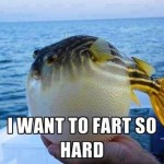 I want to farts so hard funny picture