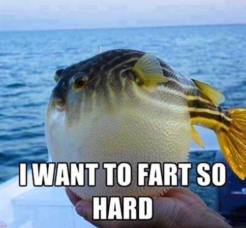 I want to farts so hard funny picture