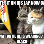 don't sit on his lap now carl - cat funny