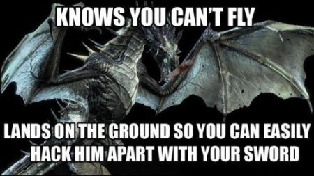 knows you can't fly gamer humor
