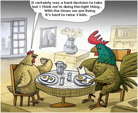 chickens hard decision funny cartoon