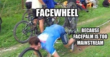 facewheel funny
