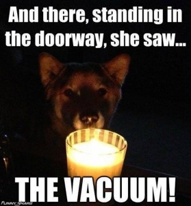 the vacuum dog Halloween meme