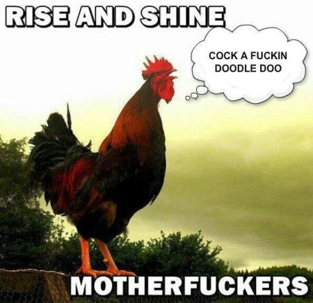 rise and shine rooster funny