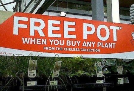 free pot funny