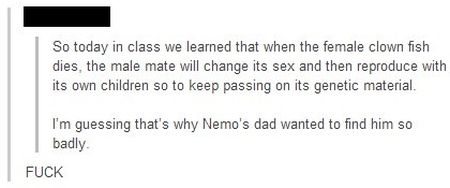 now we know why nemo’s dad wanted to find him so badly funny
