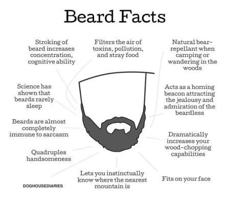 beard facts humor