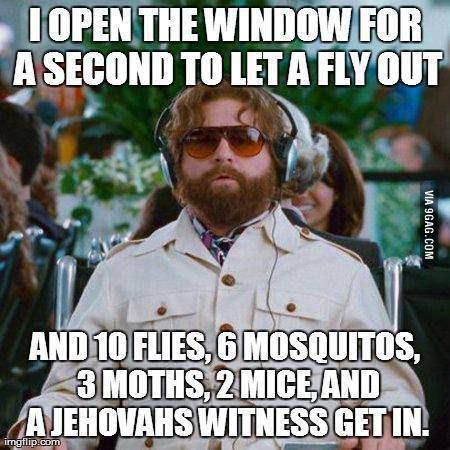 I opened a window for a second to let a fly out