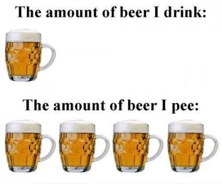 the amount of beer I drink funny