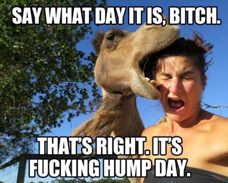 say what day it is hump day