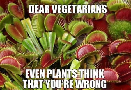 vegetarians even plants think you’re wrong meme