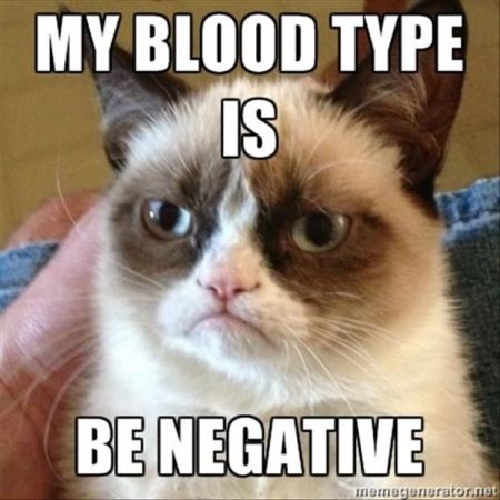 grumpy cat my blood type is be negative