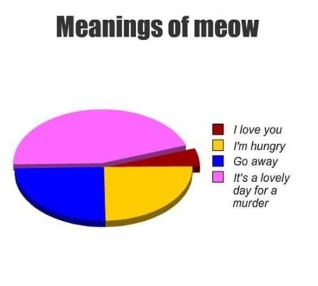 meanings of meow