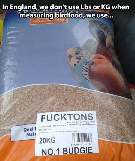 measuring bird food in England funny