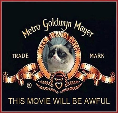 Metro Goldwyn Mayer grumpy cat