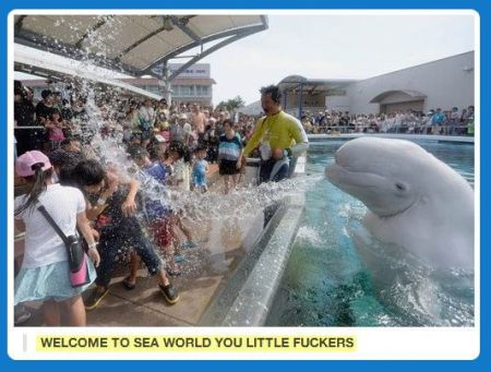 welcome to sea world funny